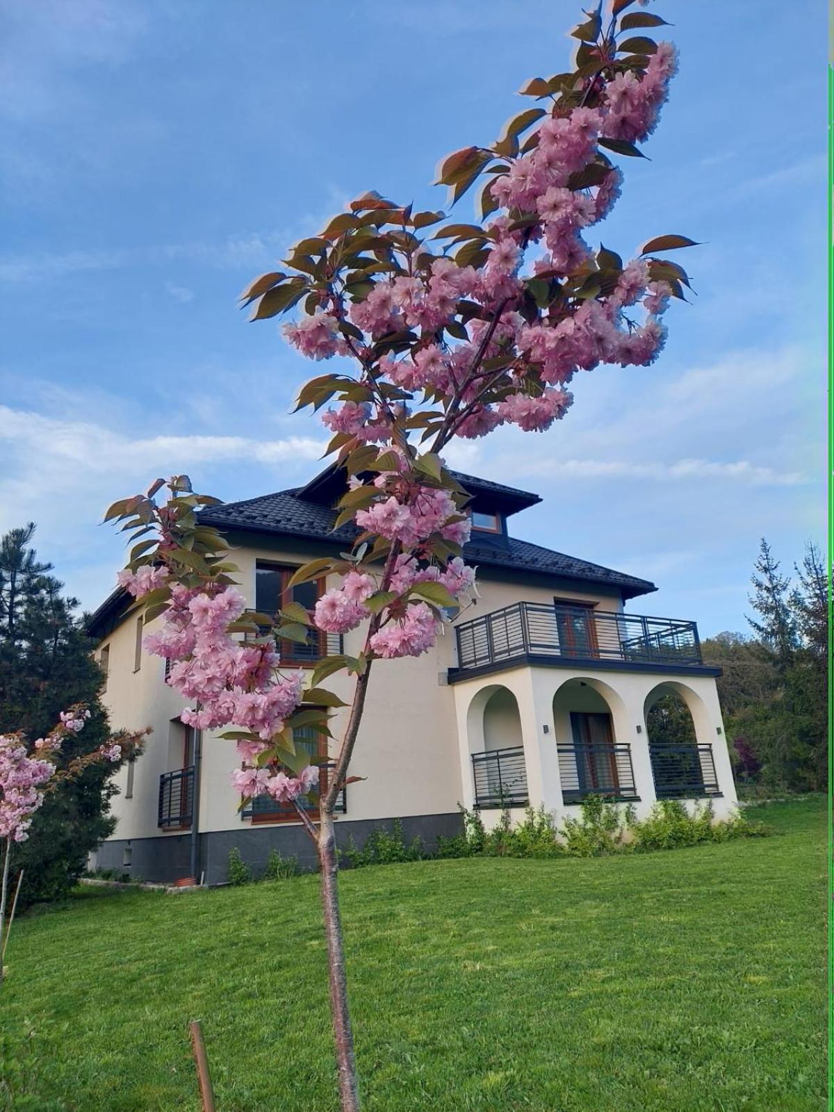 Apartamenty Brenna Klimorowka Exterior photo